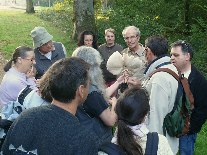 2011 10 02 Baies et champignons 19